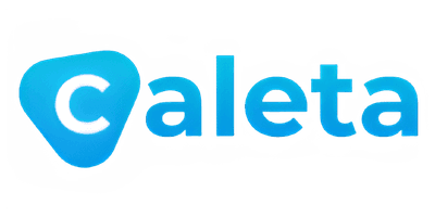 Visa partner logo